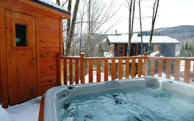 Chalets Alpins -09 Chemin Alpin