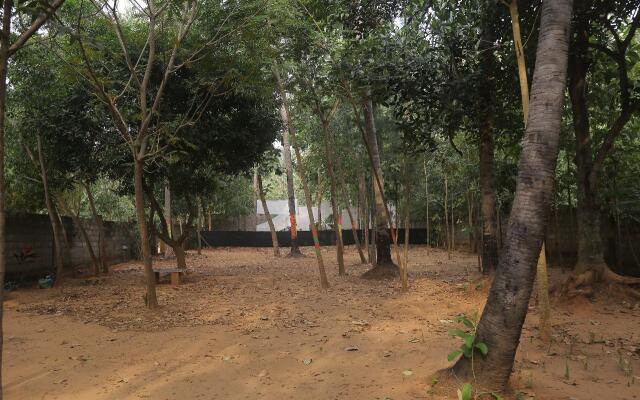 Auro farms