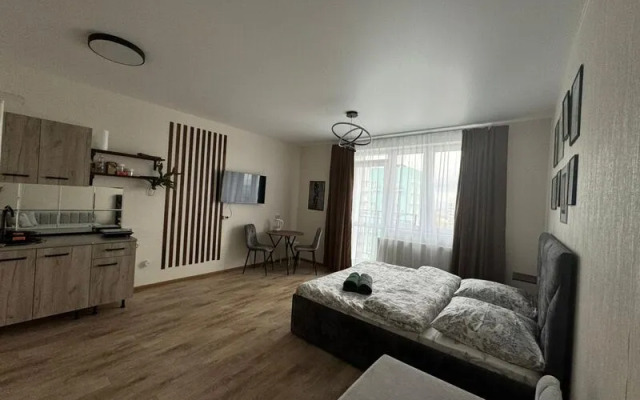 Апартаменты ДеньНочь на ул. Петра Подзолкова д. 24