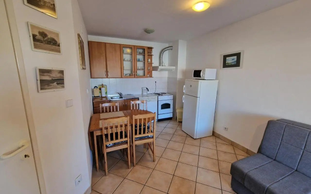 Apartment Puntižela