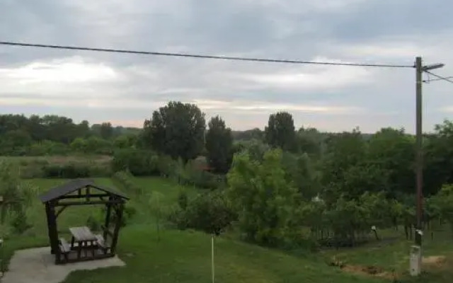 Berger Pince és vendégház