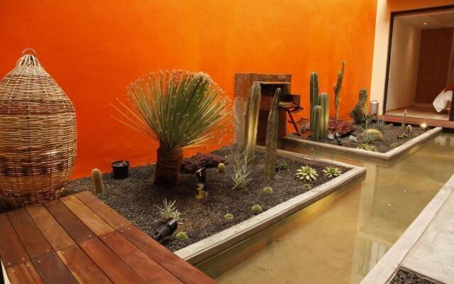 Coyoacan-inn Guesthouse