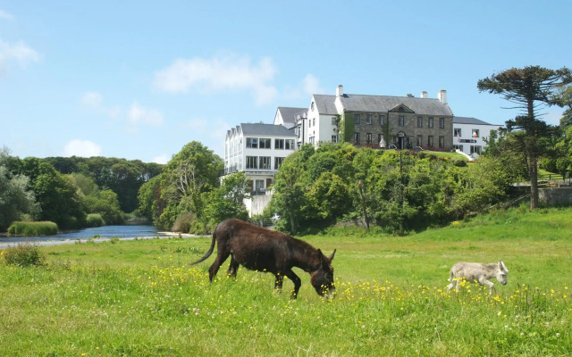 Falls Hotel & Spa