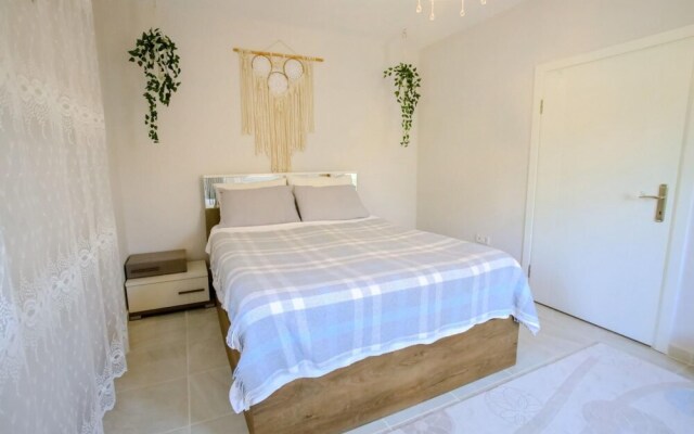 Villa With Private Pool Surrounded by Olive Trees