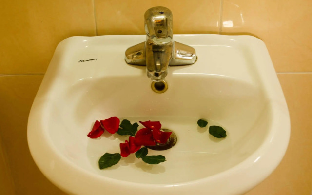 Nhu Phu Hotel