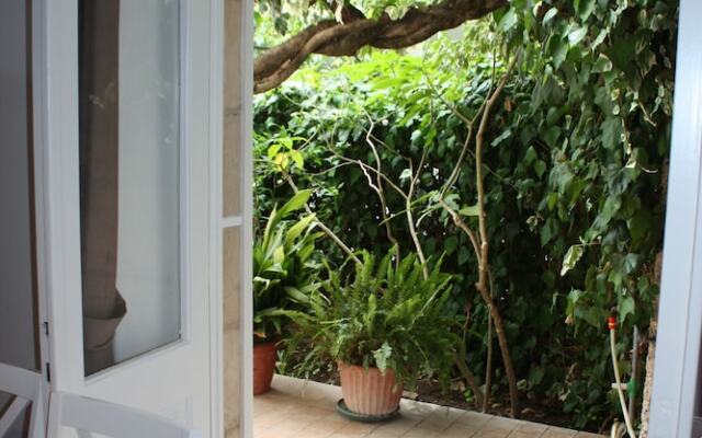 Apartment Amazing View