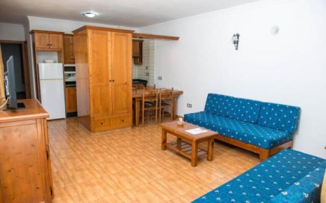 Apartamentos la Palmera