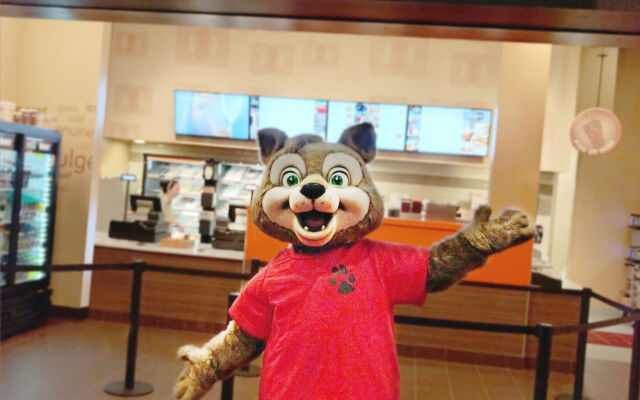 Great Wolf Lodge Anaheim, CA