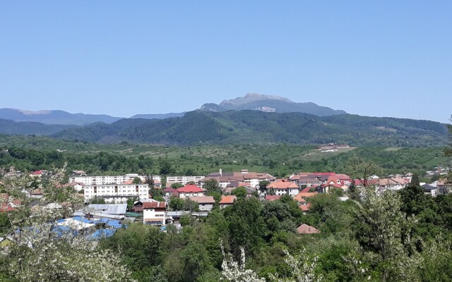 Vila Panoramic