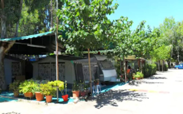 Camping Y Bungalows Barraquetes