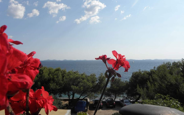 Apartment Djurdja - 20 m from beach : A2 Luka Murter, Island Murter