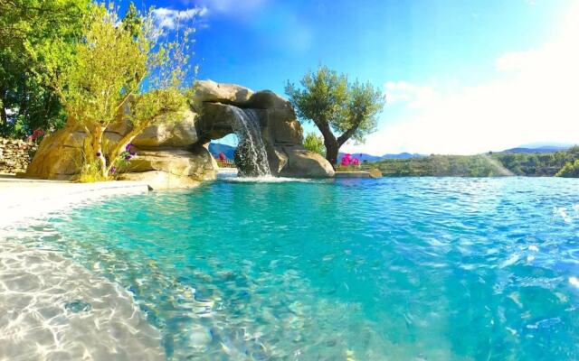 Wild Boar Mountain - France