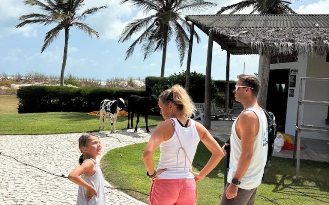 Room 7 Sicily Premium