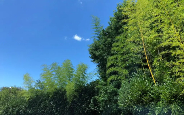 Hotel du Lac d'Arjuzanx