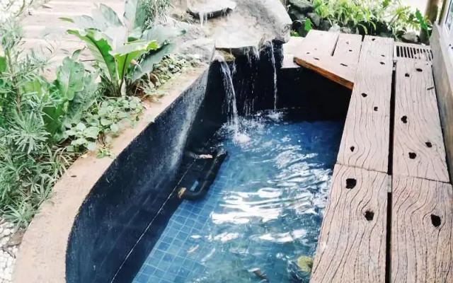 Luljettas Place Garden Suites