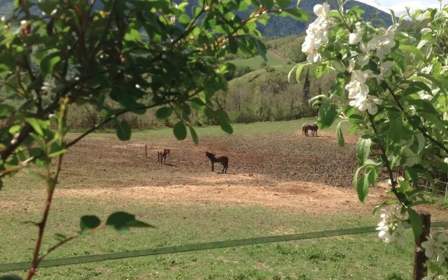 Agriturismo Le Sorgenti