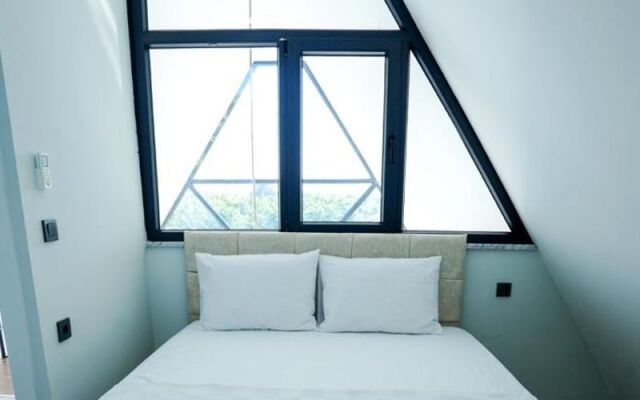 Tinyhouse Arya Ortaca