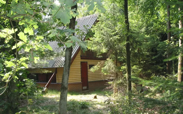 Detached Wooden Bungalow With Microwave Surrounded by Nature