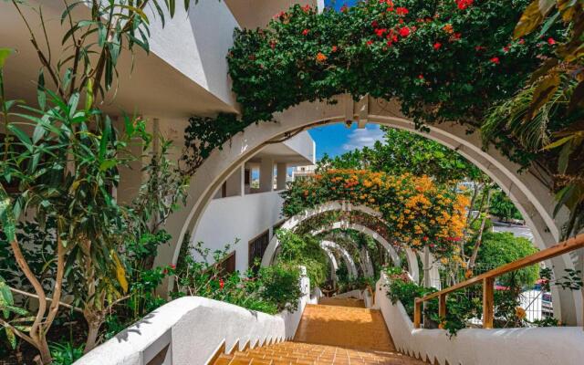 Parque Royal Fañabe playa wi-fi 600Mbt