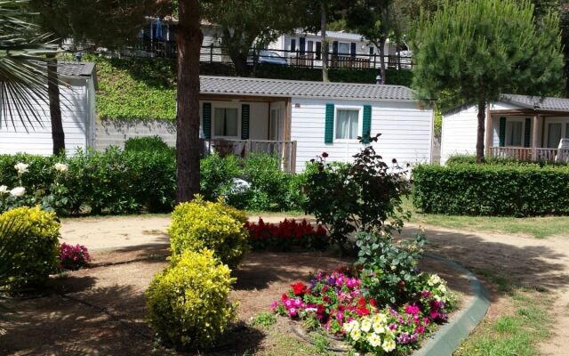 Happy Camp Camping Cala Gogo