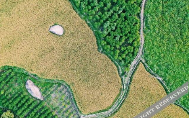 Purling Hills Guesthouse