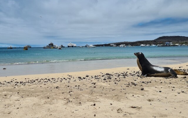 Hotel Indigo Galapagos, an IHG Hotel