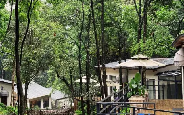 Nankunshan yunshu Wild Luxury Hotel