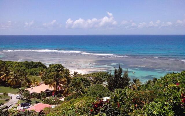 Cactus Anse Des Rochers