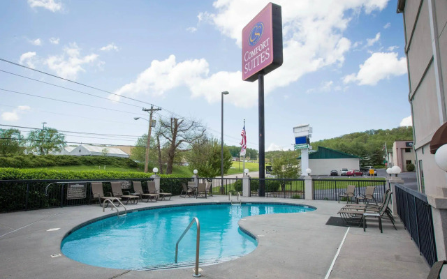 Comfort Suites Johnson City near University