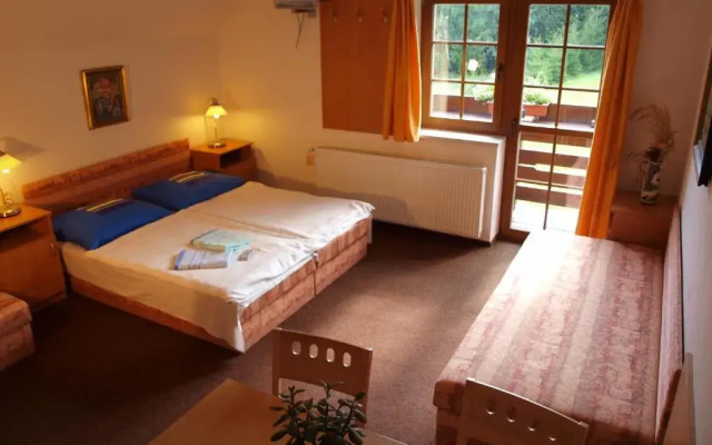 Pension Vlasta