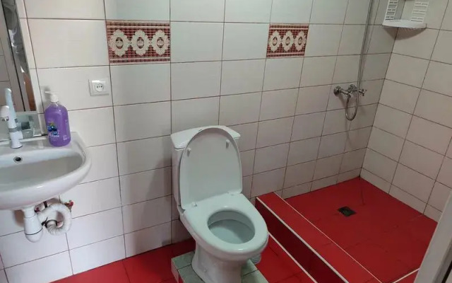 Pod palmoj
