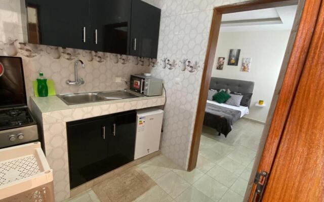 Mini STUDIO THEDE