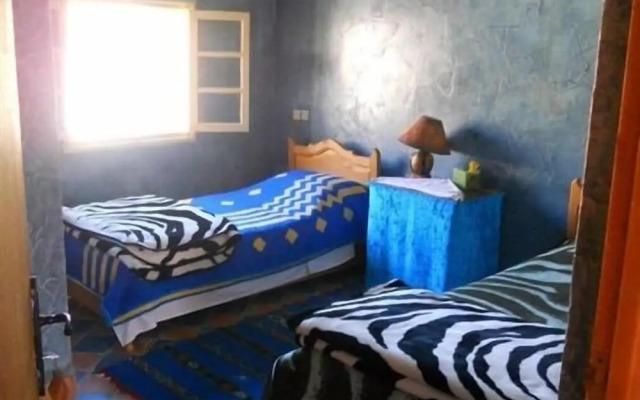 Complexe Collier D'Ambre