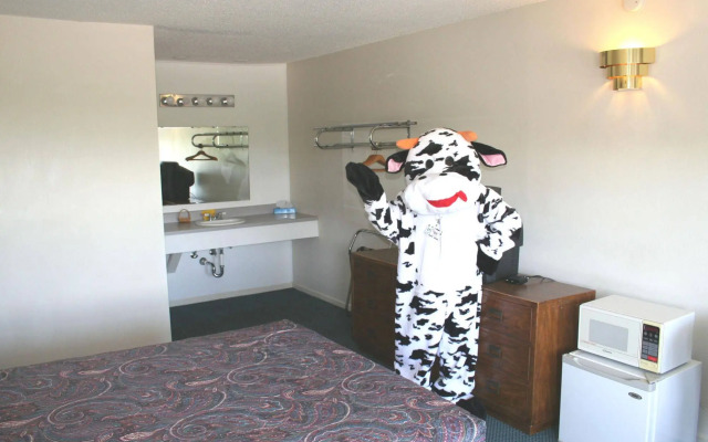 Town and Country Motel