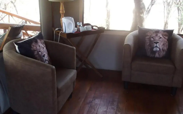 Lion Tree Top Lodge