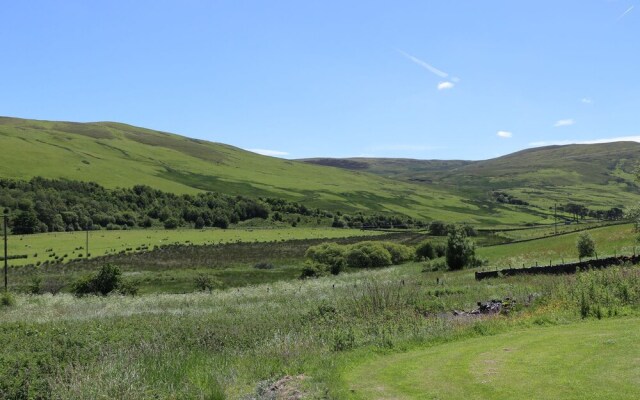 Ettrick View