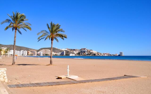 Palm Tree Cullera