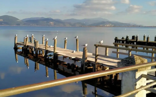 Campsite Chalet Zr28 Tuscany Near sea Viareggio