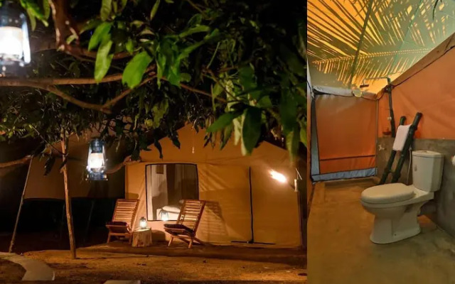 Camp Hasthi