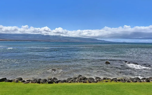 Lauloa 105