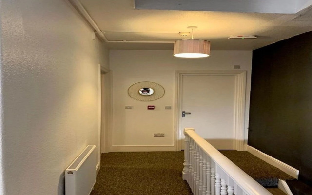 Molly Central House