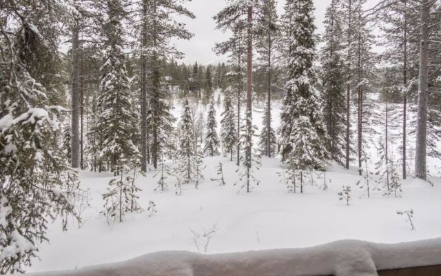 Saukkokumpu 3