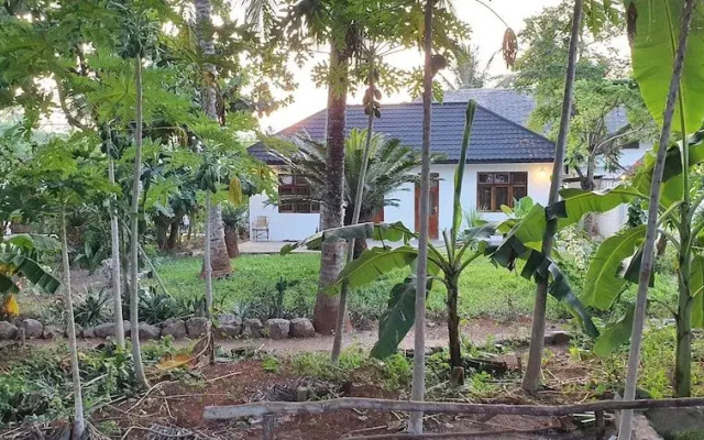 Zoi Retreat Hotel Zanzibar