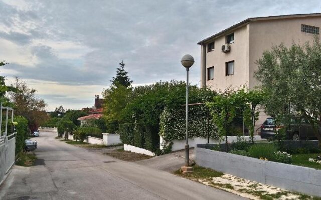 Apartment Drenovica
