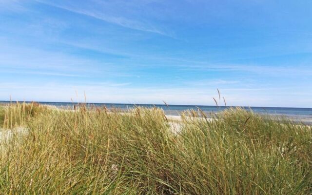 "Human" - 1km from the sea in Bornholm
