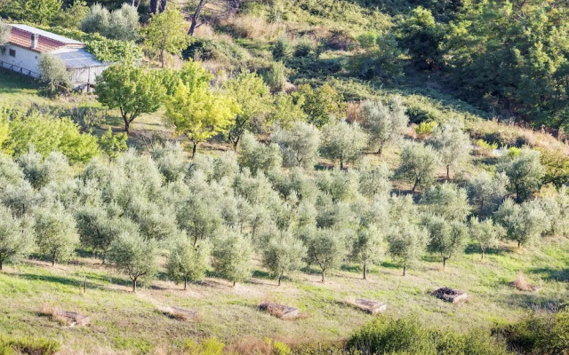 Appartamento Pera Shared Pool