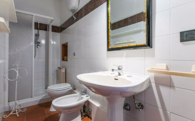 Bardeggiano - Caterina 7 (COL240)