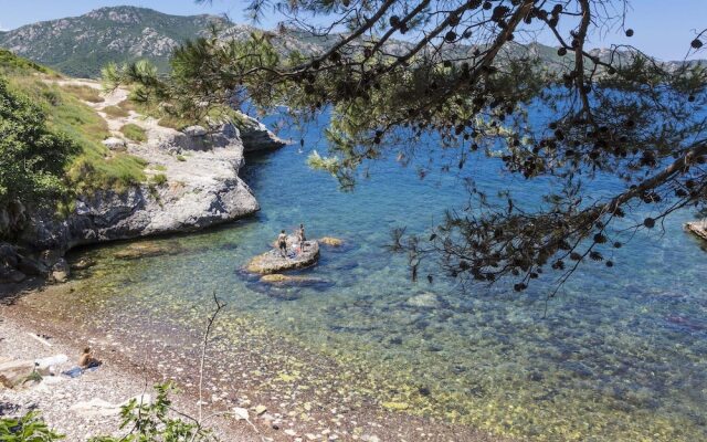 Summer Apartment in the Hilly Landscape of Oletta