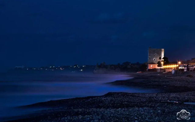 Holiday Homes