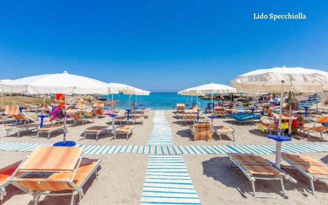 Appartamento Pineta Mare